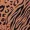 Camel Animal Printed Sheered Cuff Midi Dress