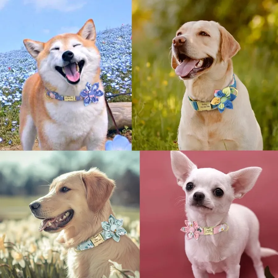 Fashionable Florals: Personalized Collar And Leash Set