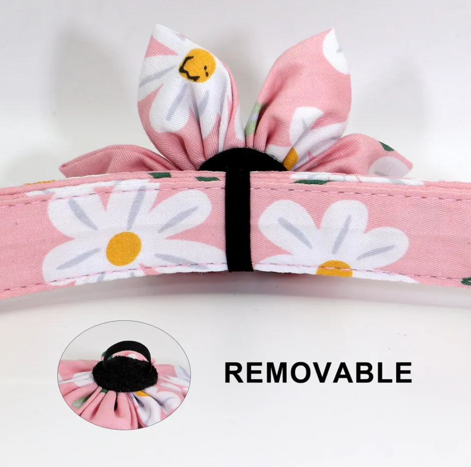 Fashionable Florals: Personalized Collar And Leash Set