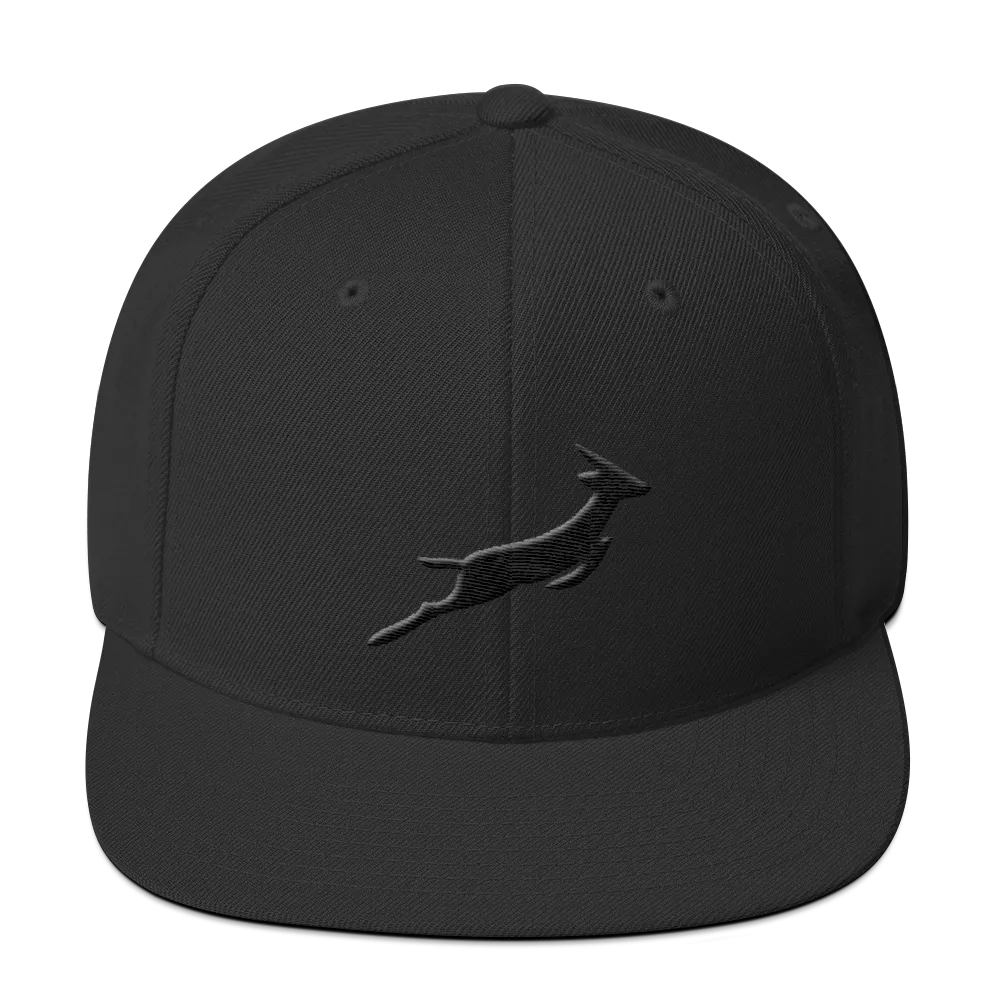 Grand Rapids Black Out Snapback Hat