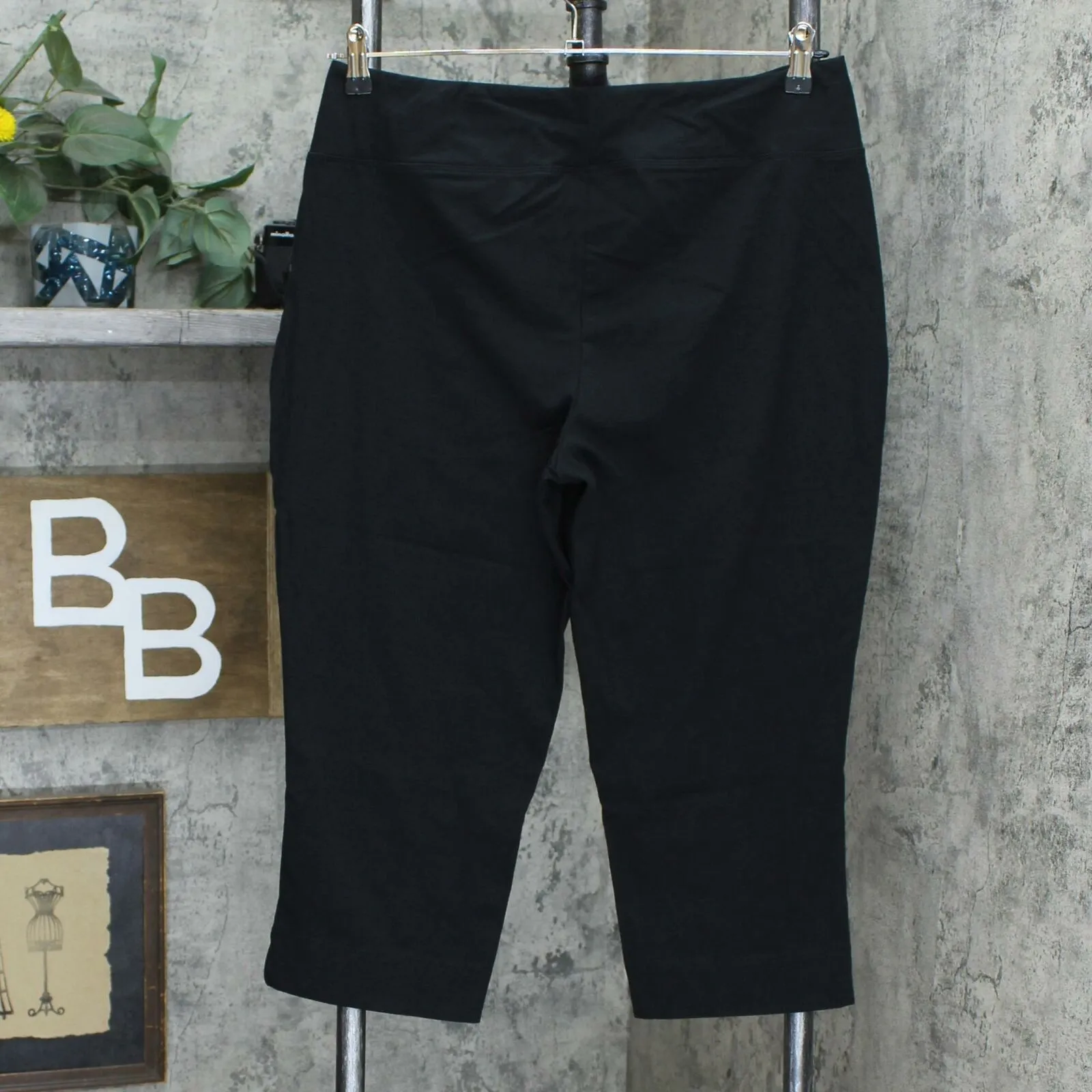 NWT Wicked By Women With Control Reg Pull-on Capri Pants. A288782-Reg Large