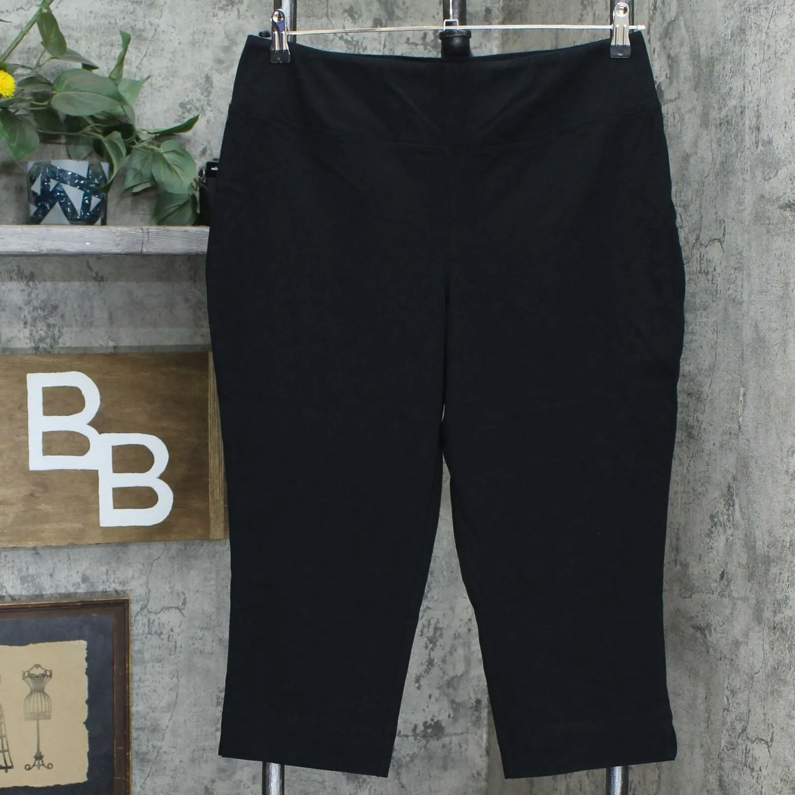 NWT Wicked By Women With Control Reg Pull-on Capri Pants. A288782-Reg Large