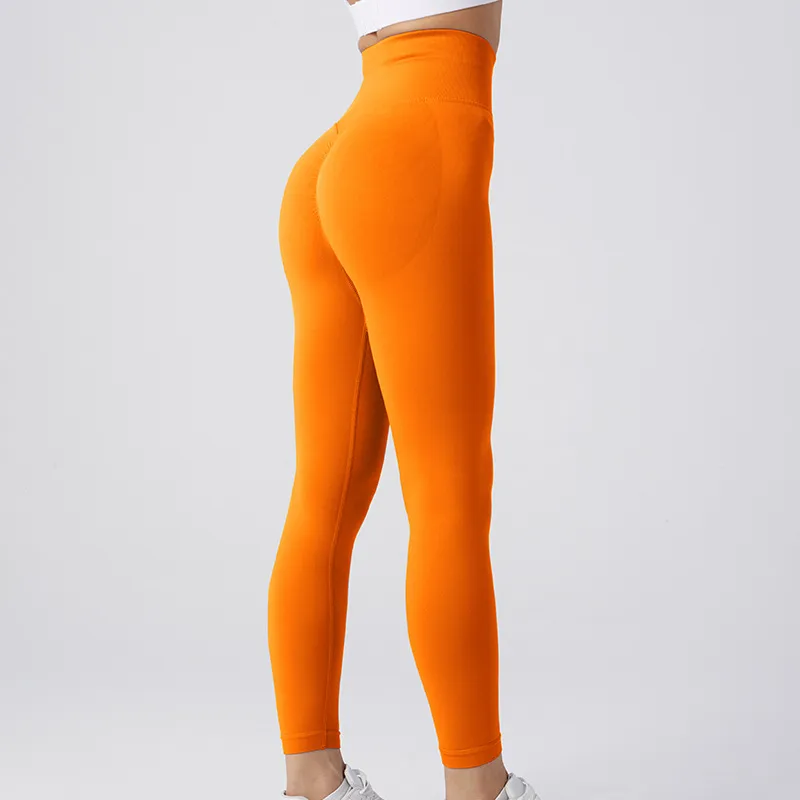 Seamless Yoga Legging