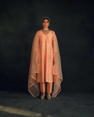 Shikha Mehta Zendaya Apricot Kaashvi Kurta Set Silk Chanderi Silk Organza Peach Hana Ss21F-Kk
